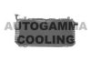 AUTOGAMMA 100635 Radiator, engine cooling